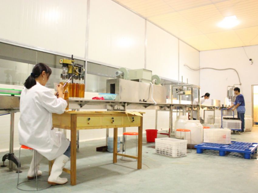 點擊查看實際尺寸<br>標題：廠容廠貌 閱讀次數(shù)：2007